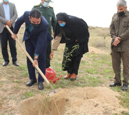 کاشت نهال در روز درختکاری در دلوار با حضور عبدالرضا عالی پور بخشدار دلوار