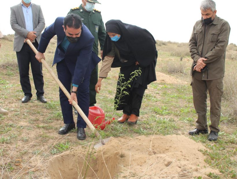 کاشت نهال در روز درختکاری در دلوار با حضور عبدالرضا عالی پور بخشدار دلوار