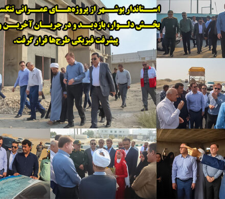 استاندار بوشهر از پروژه‌های عمرانی تنگستان در بخش دلوار، بازدید و در جریان آخرین وضعیت پیشرفت فیزیکی طرح‌ها قرار گرفت.